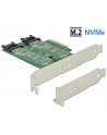 DeLOCK Express card x Slot - Profile Form Faktor - nr 9