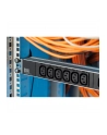 Bachmann power strip 19 '' 1HE 333.616 - 12xC13 lock - nr 9