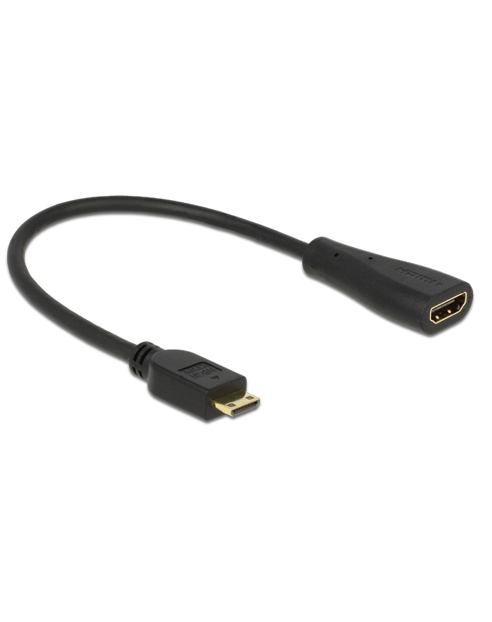 DeLOCK HDMI - mini C St-Bu 23cm główny