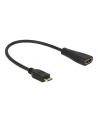 DeLOCK HDMI - mini C St-Bu 23cm - nr 6