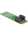 DeLOCK converter B+M St > 2x SATA 7P - RAID with housing - nr 18