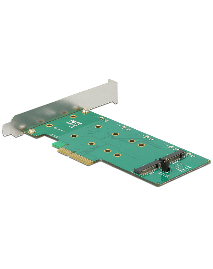 DeLOCK PCIe x1 x Key B główny