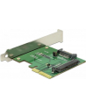DeLOCK PCIe x4 card>1x int. NVMe blue - SFF-8639 - nr 15