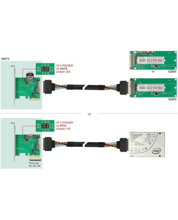 DeLOCK PCIe x4 card>1x int. NVMe St - SFF-8639