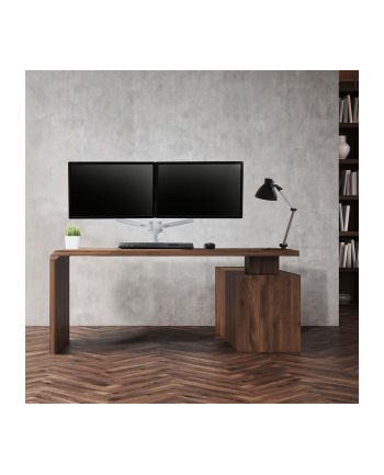 Ergotron LX mounting 2 monitors wh nr 2