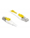 DeLOCK RJ45 Secure Cat. 6A 1m - nr 1