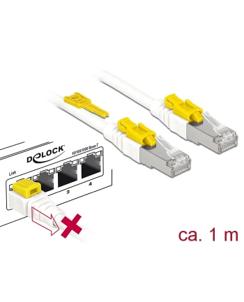 DeLOCK RJ45 Secure Cat. 6A 1m nr 1