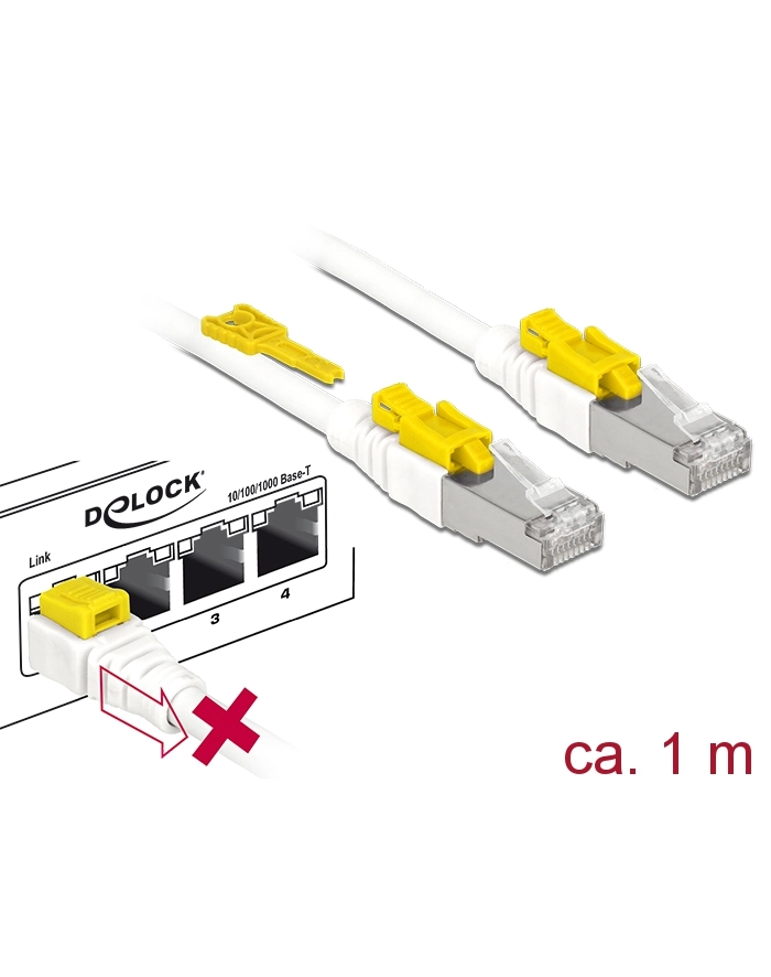 DeLOCK RJ45 Secure Cat. 6A 1m główny