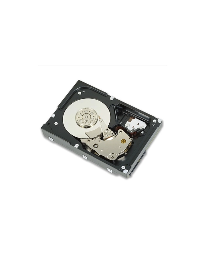 1.2TB 10K RPM SAS 12Gbps 2.5in Hot-plug 3.5in HYB główny