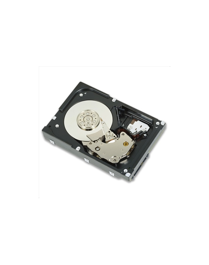 1.2TB 10K RPM SAS 12Gbps 2.5in Hot-plug 3.5in HYB główny