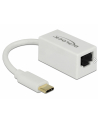 DeLOCK USB 3.1 with USB C St> RJ45 Bu white - nr 10