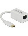 DeLOCK USB 3.1 with USB C St> RJ45 Bu white - nr 18