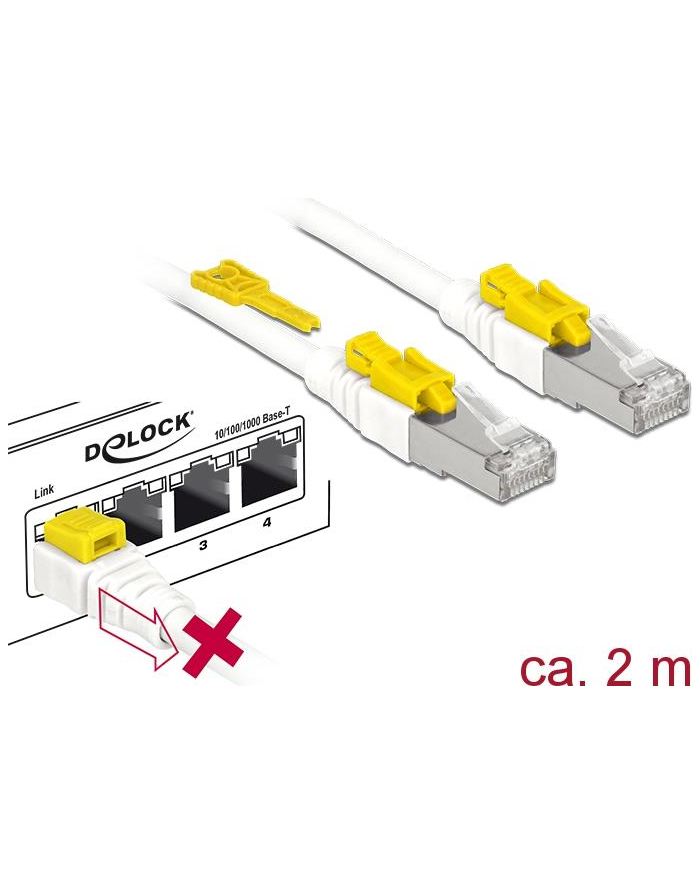 DeLOCK RJ45 Secure Cat. 6A 2m główny