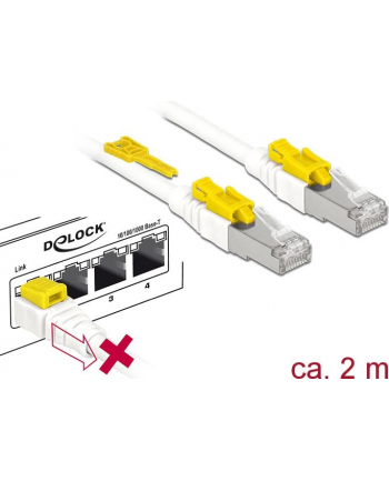 DeLOCK RJ45 Secure Cat. 6A 2m