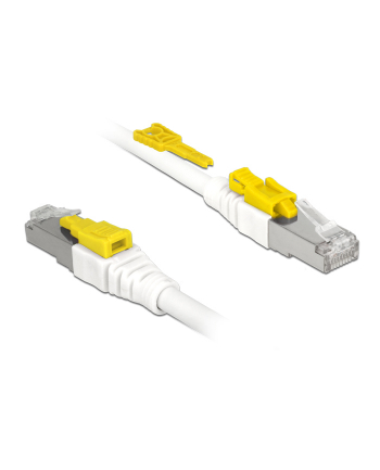 DeLOCK RJ45 Secure Cat. 6A 2m