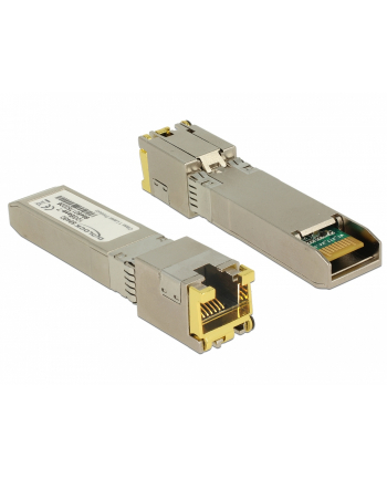DeLOCK adapter SFP + module 10G / RJ45 / SFP + - 10GBase-T RJ45