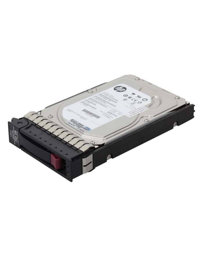 HP 750GB 7.2K SATA Hot-Plug Hard Drive (1yr Service) główny