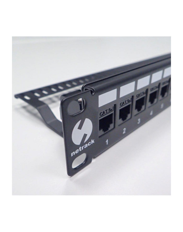 Netrack patchpanel 19'' 24-porty, pusty, czarny główny