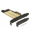 Delock PCI Express x4 >  wewnętrzny M.2- B + wewnętrzny NVMe M.2 M - nr 11