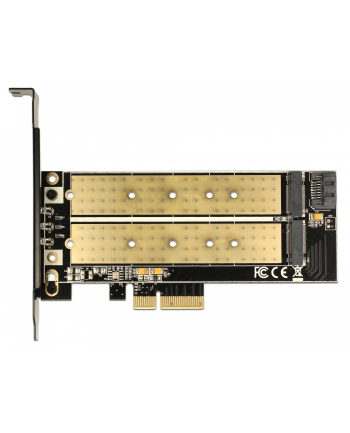 Delock PCI Express x4 >  wewnętrzny M.2- B + wewnętrzny NVMe M.2 M