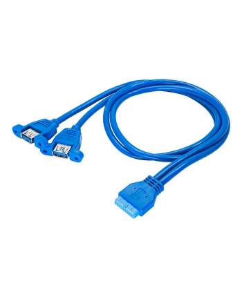 Akyga Adapter with cable AK-CA-62 2x USB 3.0 A (f) / USB 3.0 19-pin header (f)