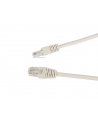 Gembird patchcord RJ45, osłonka zalewana, kat. 6, UTP, 0.25m, szary - nr 5
