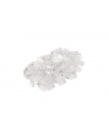 Lanberg wtyk sieciowy RJ45 (8P8C) KAT.5E UTP (100 SZT) DO LINKI I DO DRUTU - nr 13
