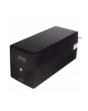 digitus Zasilacz awaryjny UPS Line-Ineractive LCD, 1000VA/600W - nr 2