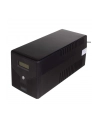 digitus Zasilacz awaryjny UPS Line-Ineractive LCD, 1000VA/600W - nr 8