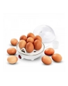 esperanza Jajowar EGG MASTER - nr 12