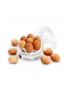 esperanza Jajowar EGG MASTER - nr 7