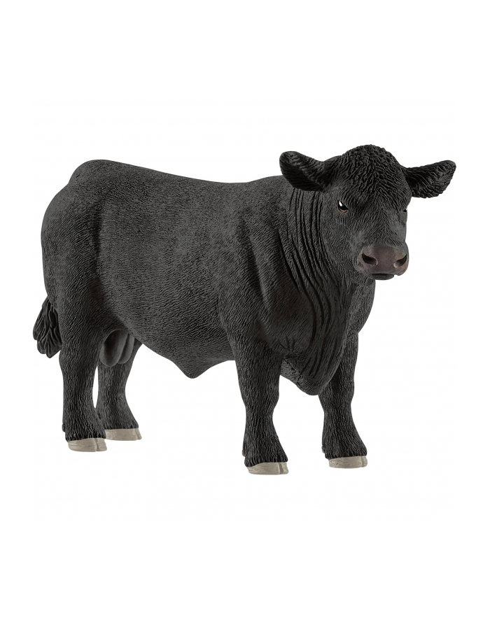 schleich SLH 13879 Aberdeen Angus główny