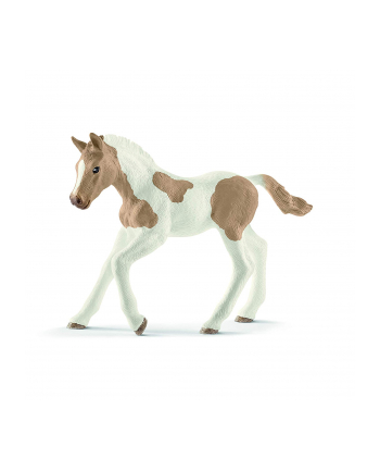 schleich SLH 13886 Koń Paint horse foal nr 2