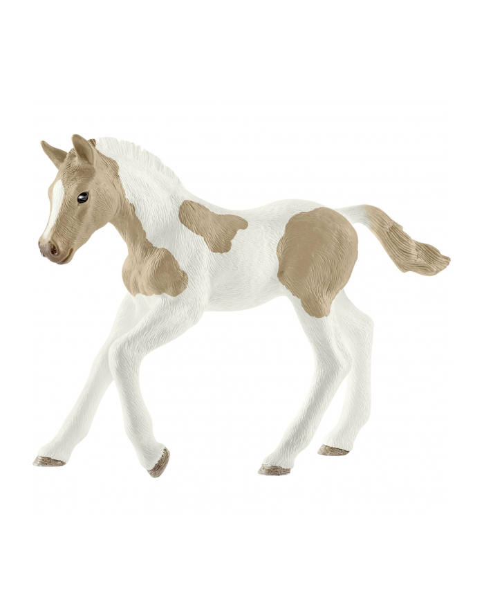 schleich SLH 13886 Koń Paint horse foal główny