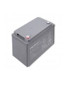 qoltec Akumulator AGM | 12V | 100Ah | max.30A - nr 8