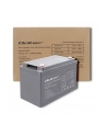 qoltec Akumulator AGM | 12V | 100Ah | max.30A - nr 9