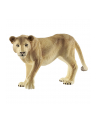 schleich SLH 14825 Lwica - nr 4