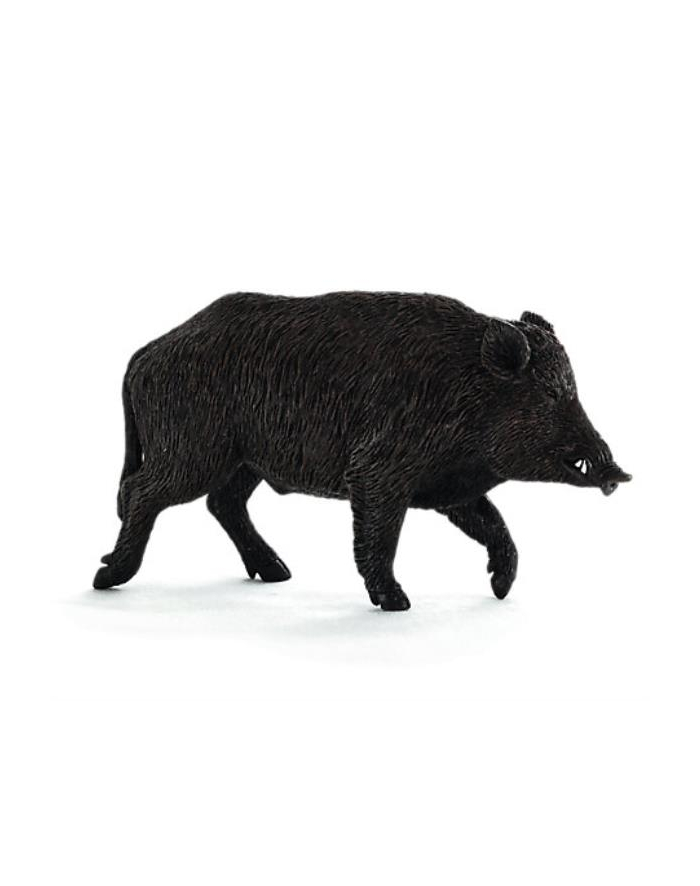 Dzik 7160 ANIMAL PLANET główny