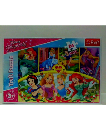 Puzzle 24-Maxi Disney Princess Magia wspomnień 14294 TREFL