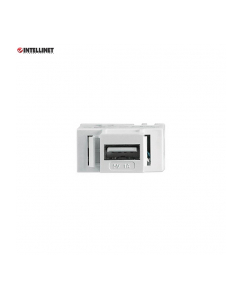 intellinet network solutions Intellinet Moduł Keystone z portem USB-A do ładowania, biały
