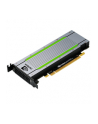 pny technologies europe PNY NVIDIA TESLA T4, 16GB GDDR6 320GB/s, Low Profile - nr 3