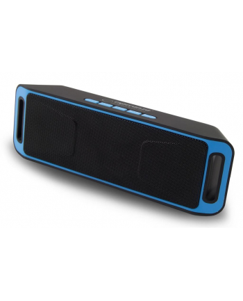 ESPERANZA EP126KB FOLK - GŁOŚNIK BLUETOOTH Z WBUDOWANYM RADIEM FM