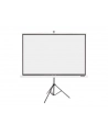 Acer T87-S01MW - 87 inch - 217cm - nr 14