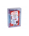 Fischer Meister-Box DUOPOWER plus śruba - kołek - jasny szary / czerwony - 160 części - nr 1