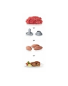 Bosch meat grinder MFW68660 800W - nr 52