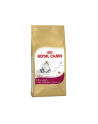 royal canin FBN Persian 4 kg - nr 1