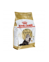 royal canin FBN Persian 4 kg - nr 2