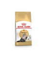 royal canin FBN Persian 4 kg - nr 3