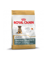 Karma Royal Canin Dog Food German Shepherd Junior (12 kg ) - nr 1