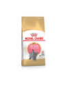 Karma Royal Canin KITTEN BRITISH (10 kg ) - nr 1